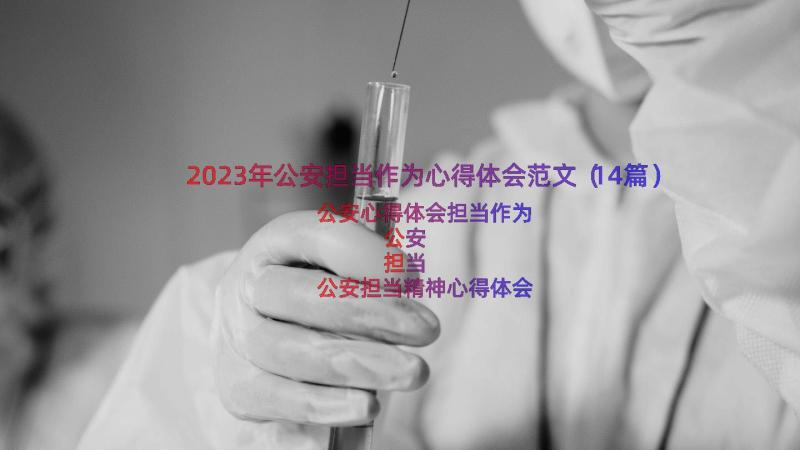 2023年公安担当作为心得体会范文（14篇）