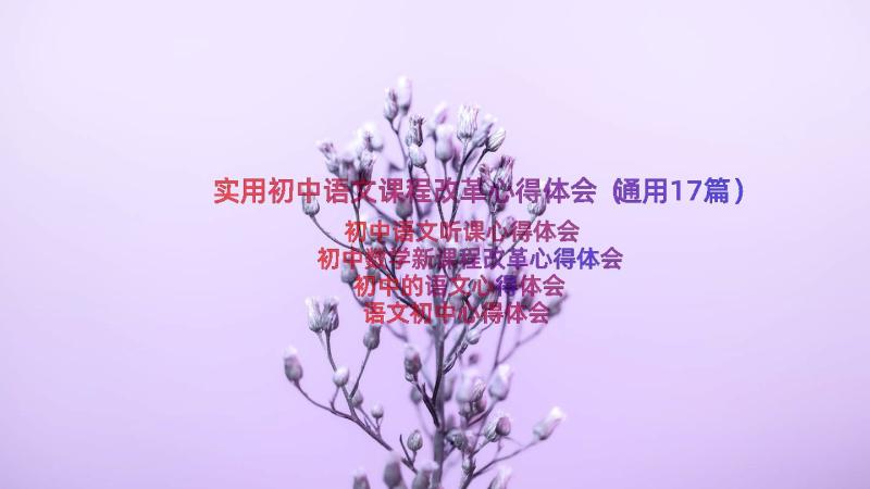 实用初中语文课程改革心得体会（通用17篇）