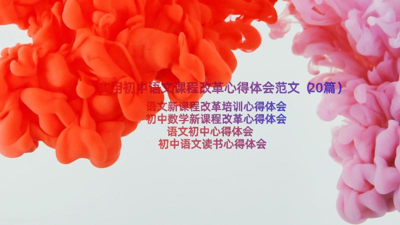 实用初中语文课程改革心得体会范文（20篇）