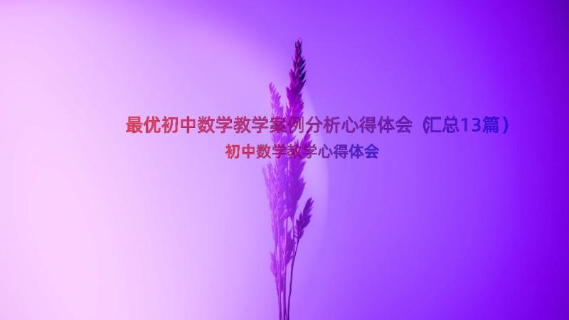 最优初中数学教学案例分析心得体会（汇总13篇）