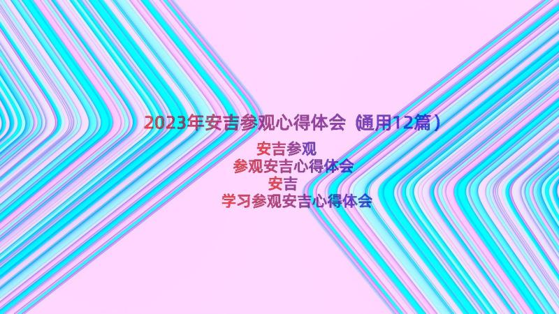 2023年安吉参观心得体会（通用12篇）