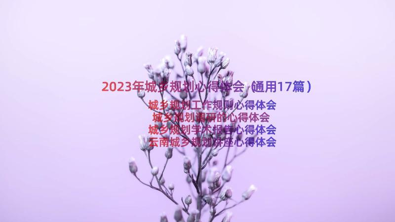 2023年城乡规划心得体会（通用17篇）