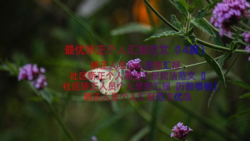 最优矫正个人汇报范文（14篇）