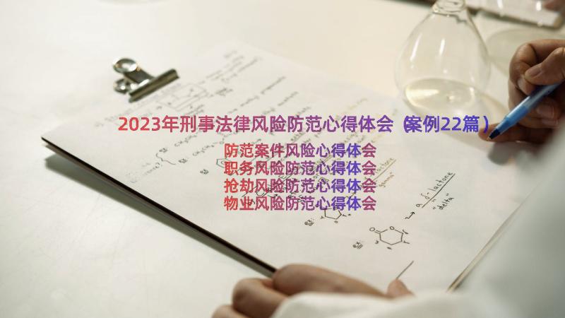 2023年刑事法律风险防范心得体会（案例22篇）