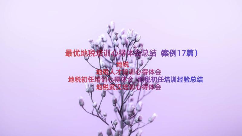 最优地税培训心得体会总结（案例17篇）