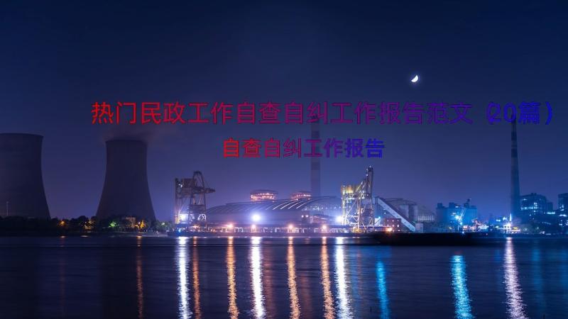 热门民政工作自查自纠工作报告范文（20篇）