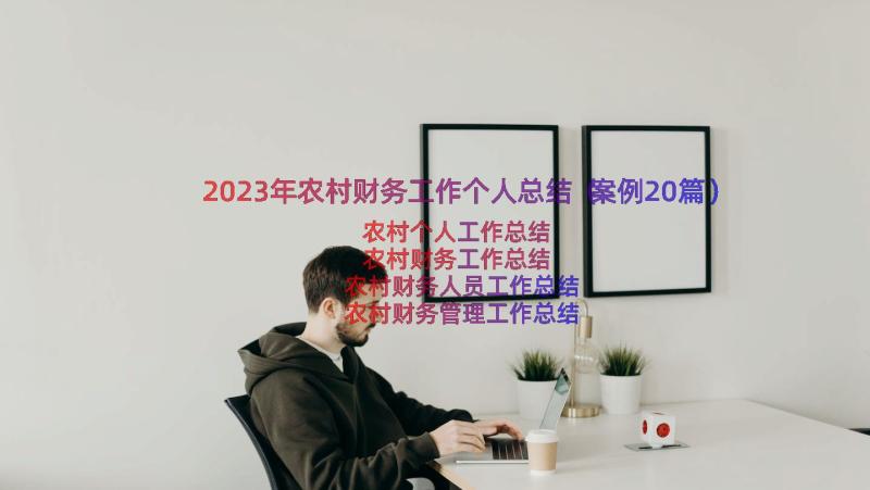 2023年农村财务工作个人总结（案例20篇）