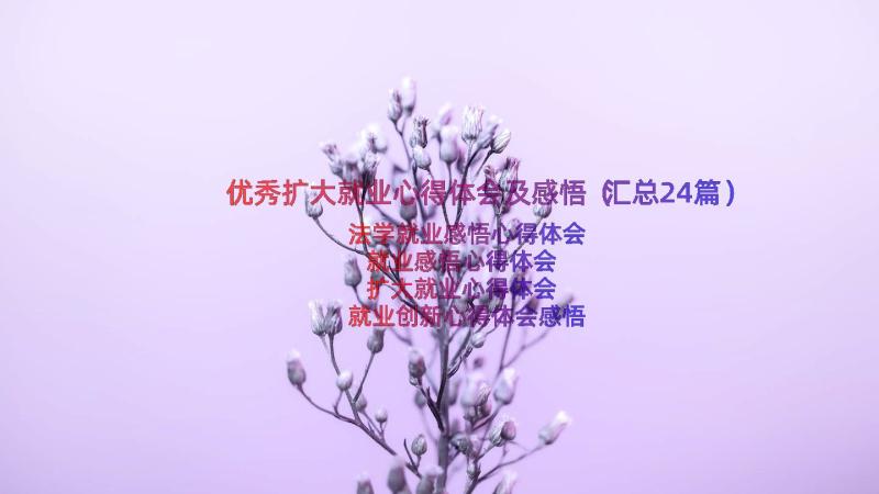 优秀扩大就业心得体会及感悟（汇总24篇）