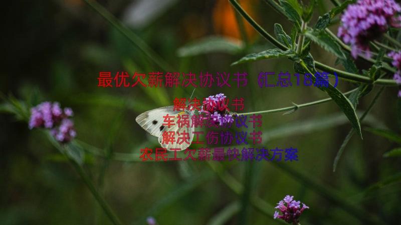 最优欠薪解决协议书（汇总18篇）