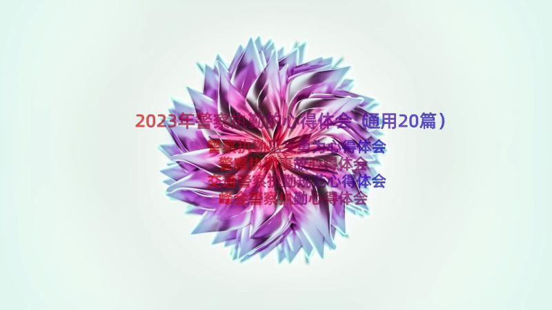 2023年警察执勤的心得体会（通用20篇）