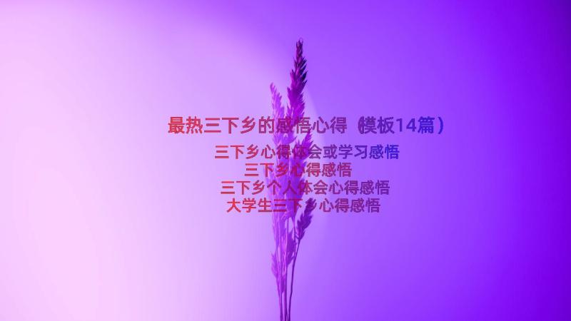 最热三下乡的感悟心得（模板14篇）