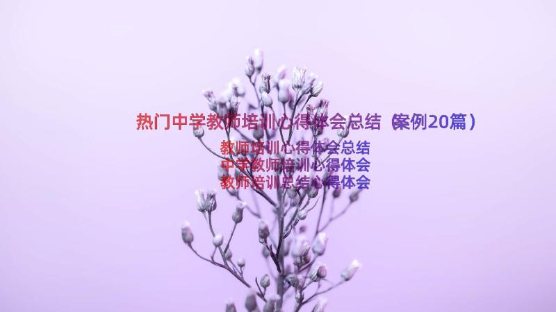 热门中学教师培训心得体会总结（案例20篇）