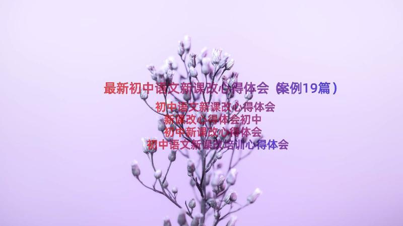 最新初中语文新课改心得体会（案例19篇）