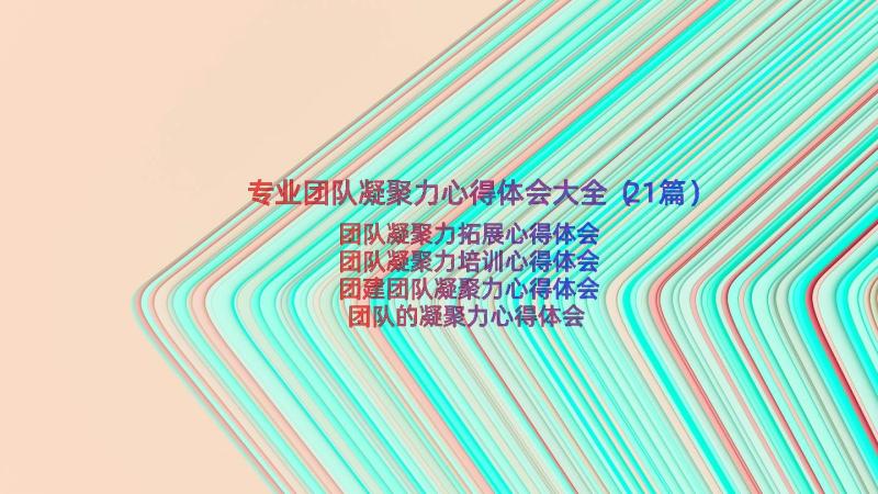 专业团队凝聚力心得体会大全（21篇）