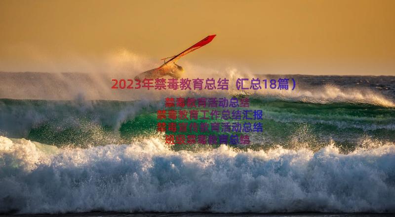 2023年禁毒教育总结（汇总18篇）