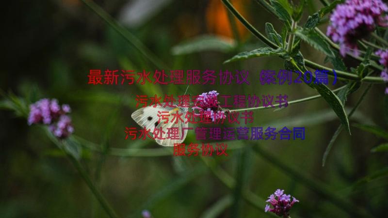 最新污水处理服务协议（案例20篇）