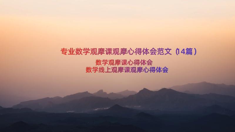 专业数学观摩课观摩心得体会范文（14篇）