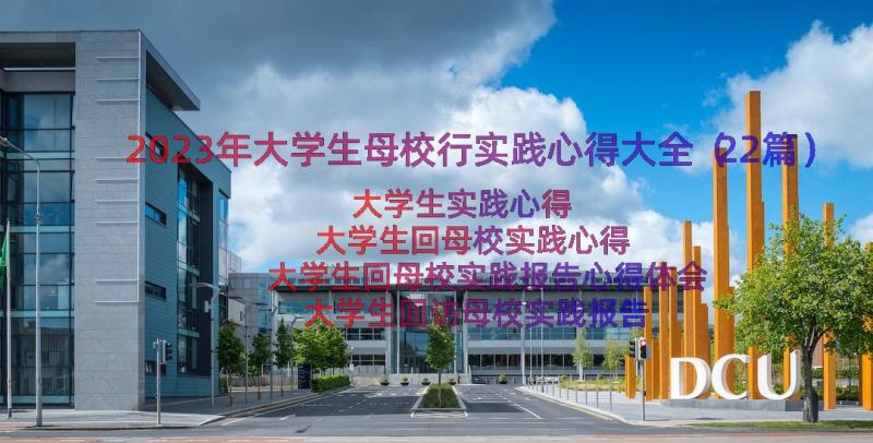 2023年大学生母校行实践心得大全（22篇）