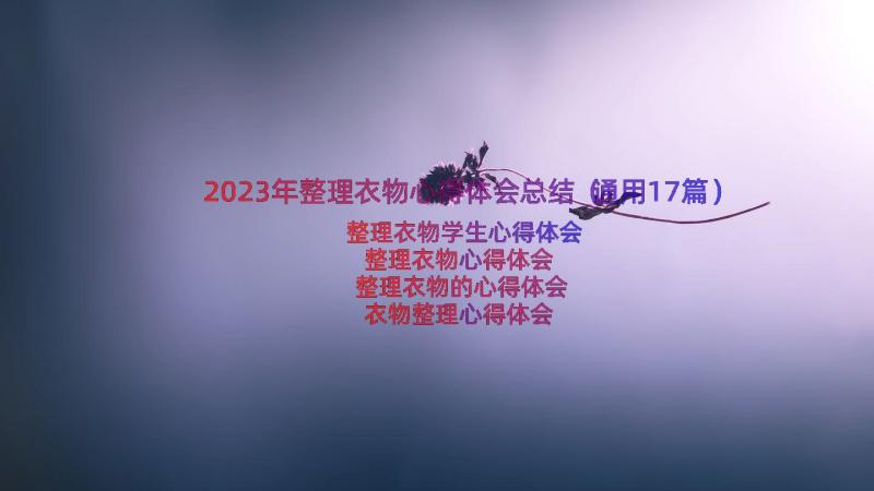 2023年整理衣物心得体会总结（通用17篇）