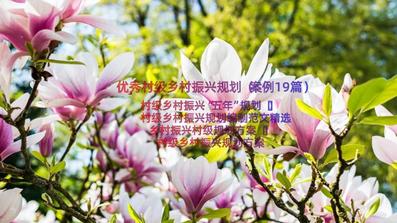 优秀村级乡村振兴规划（案例19篇）