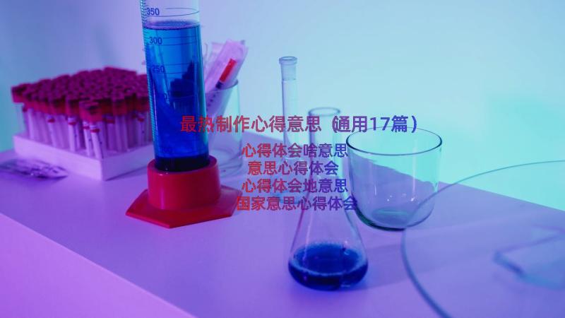 最热制作心得意思（通用17篇）