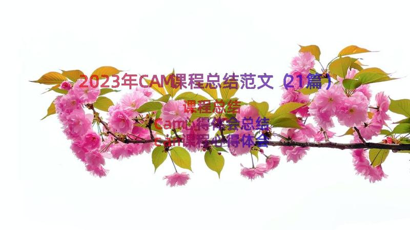 2023年CAM课程总结范文（21篇）