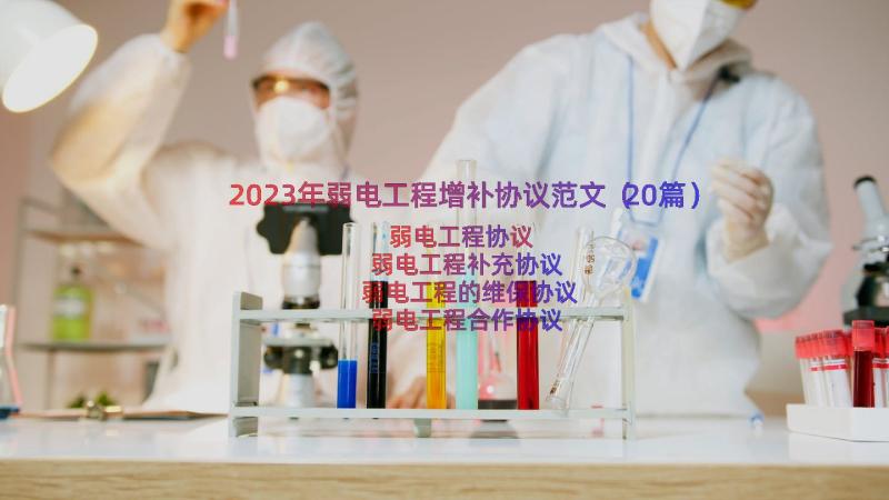 2023年弱电工程增补协议范文（20篇）