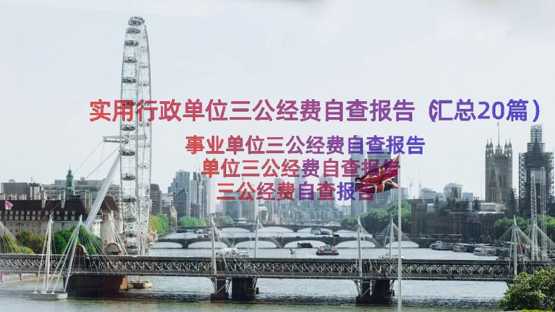 实用行政单位三公经费自查报告（汇总20篇）