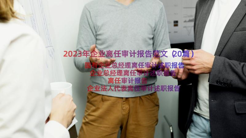 2023年企业离任审计报告范文（20篇）