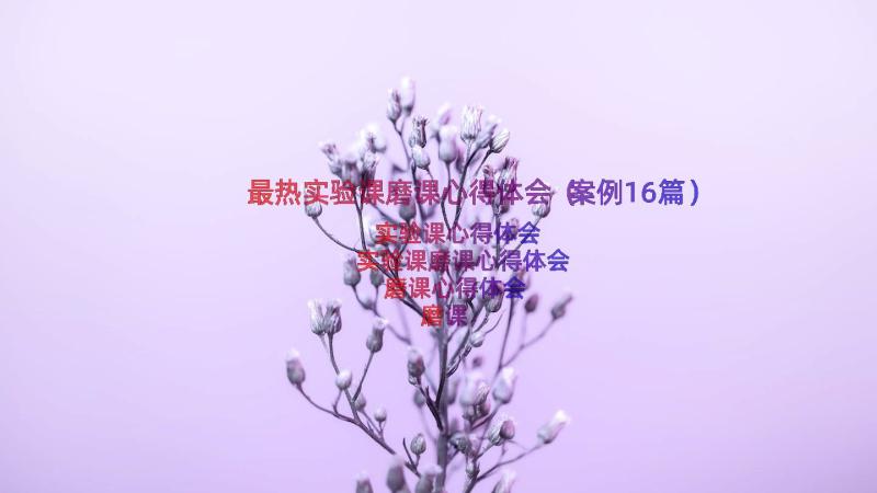 最热实验课磨课心得体会（案例16篇）