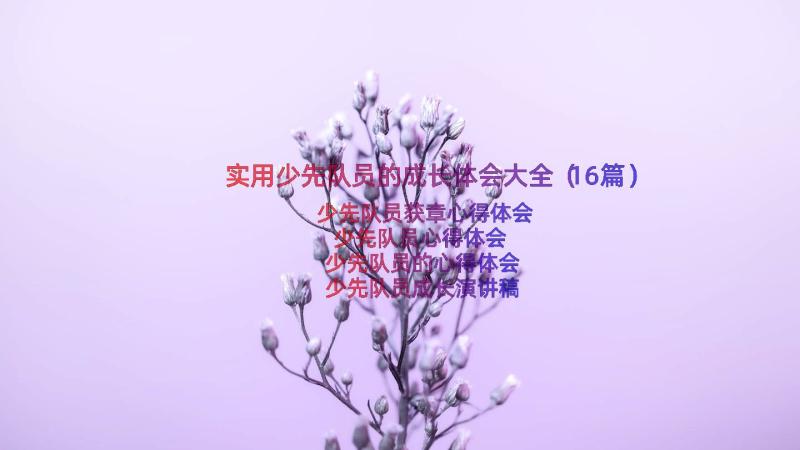 实用少先队员的成长体会大全（16篇）