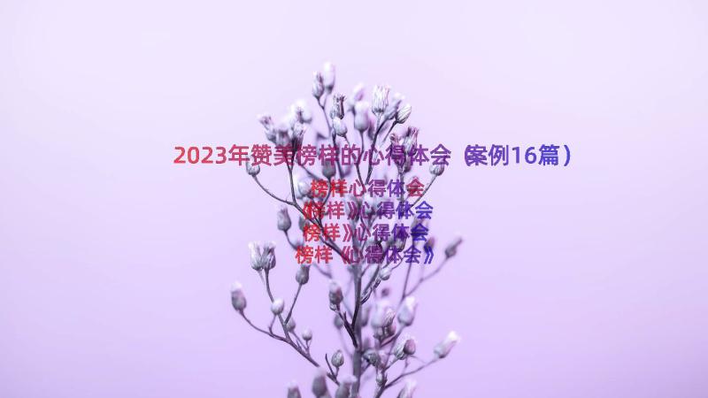 2023年赞美榜样的心得体会（案例16篇）