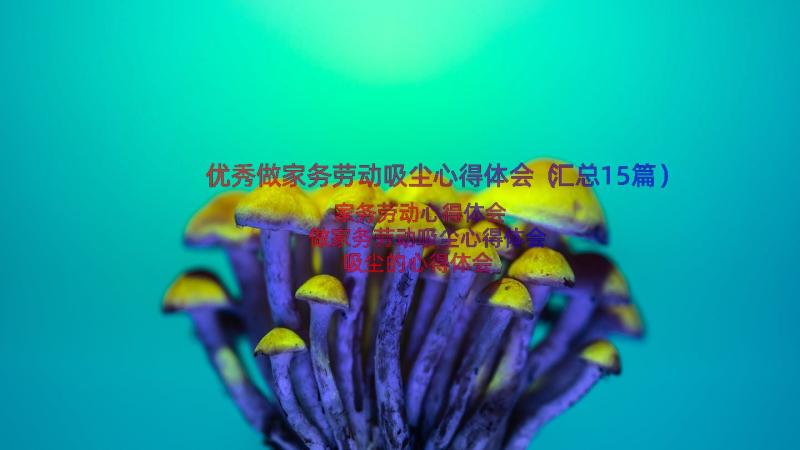 优秀做家务劳动吸尘心得体会（汇总15篇）