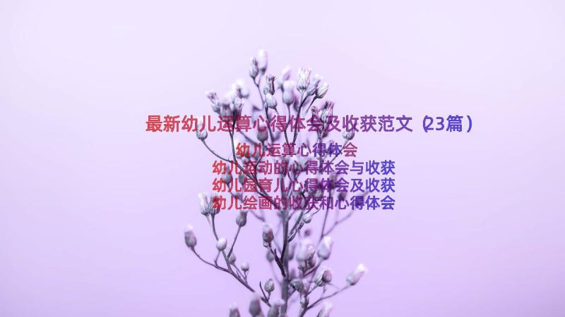 最新幼儿运算心得体会及收获范文（23篇）