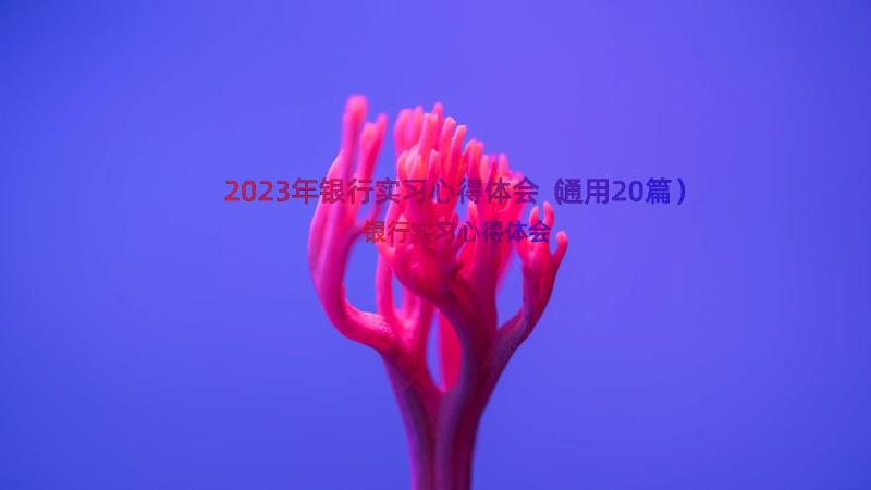 2023年银行实习心得体会（通用20篇）