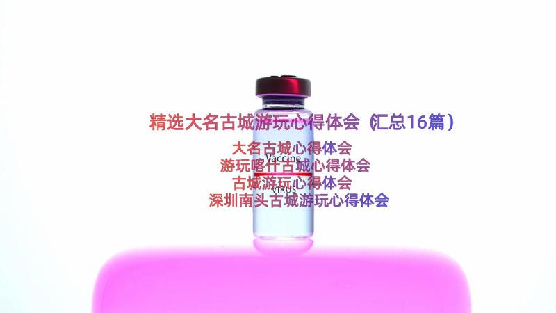 精选大名古城游玩心得体会（汇总16篇）