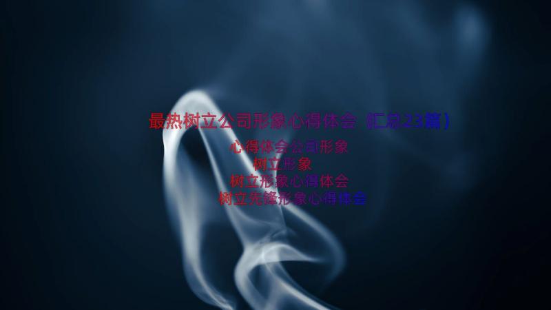 最热树立公司形象心得体会（汇总23篇）