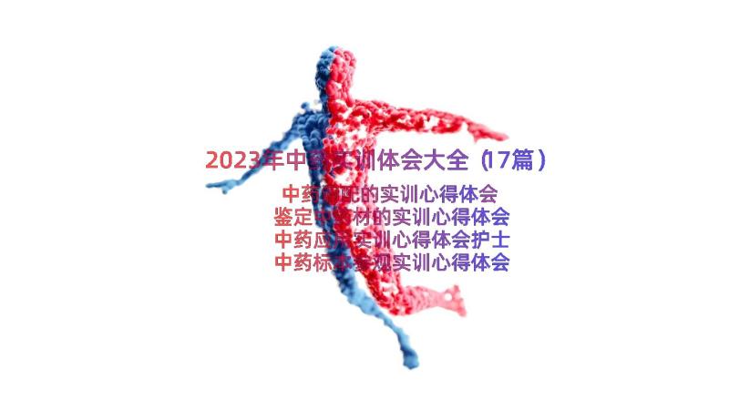 2023年中药实训体会大全（17篇）