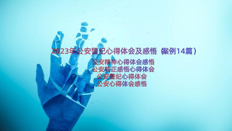 2023年公安警纪心得体会及感悟（案例14篇）