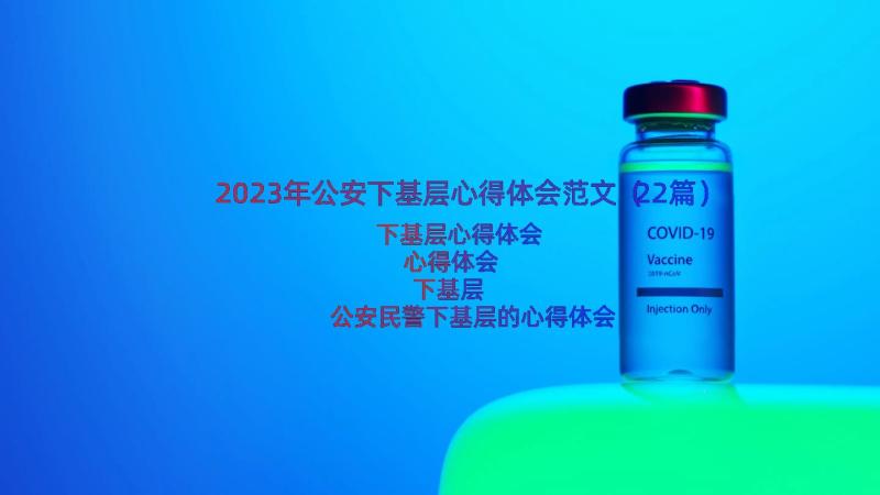 2023年公安下基层心得体会范文（22篇）