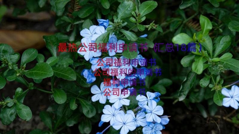 最热公司福利申请书（汇总18篇）