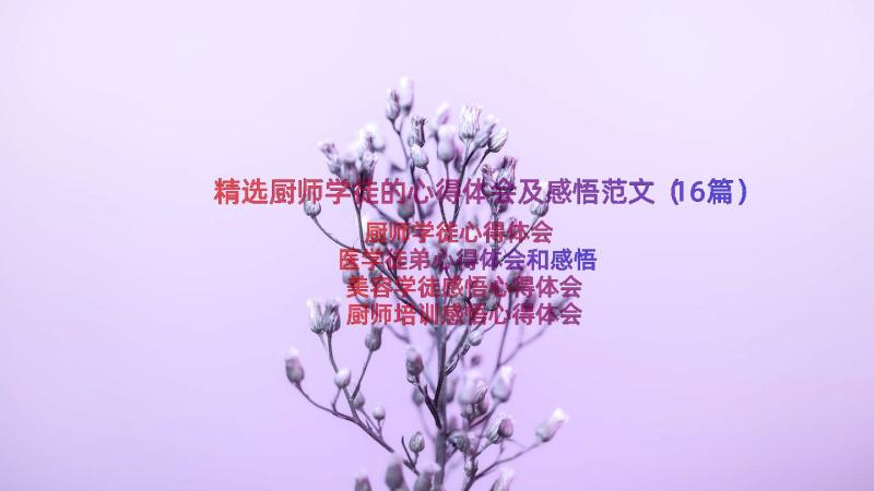 精选厨师学徒的心得体会及感悟范文（16篇）