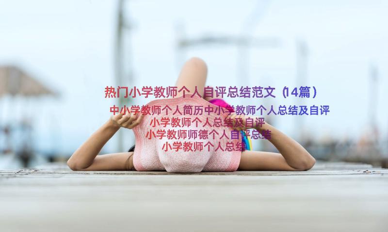 热门小学教师个人自评总结范文（14篇）