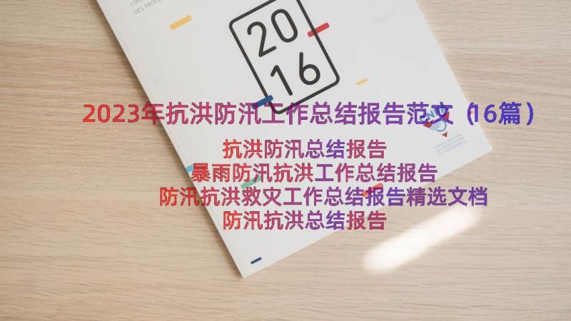 2023年抗洪防汛工作总结报告范文（16篇）