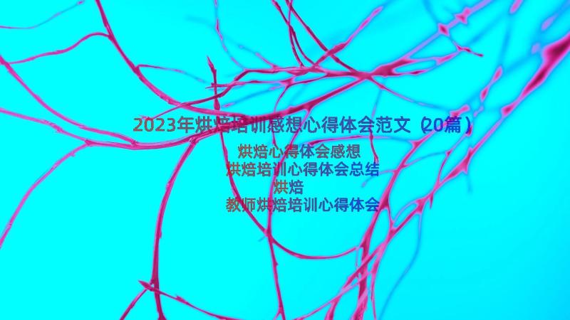 2023年烘焙培训感想心得体会范文（20篇）