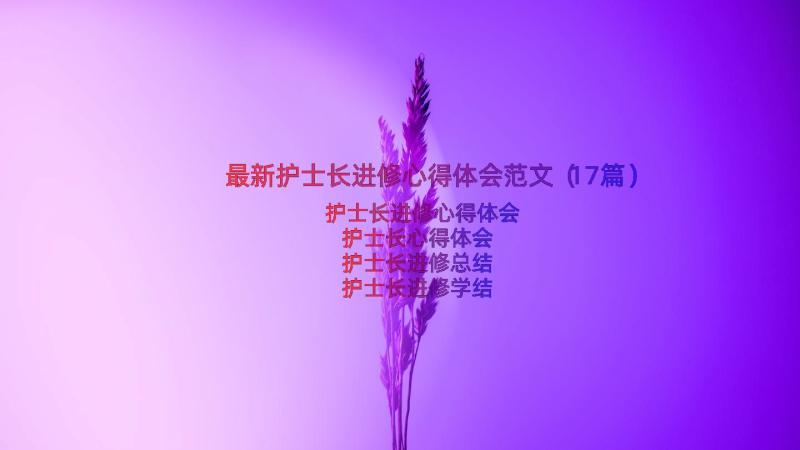 最新护士长进修心得体会范文（17篇）