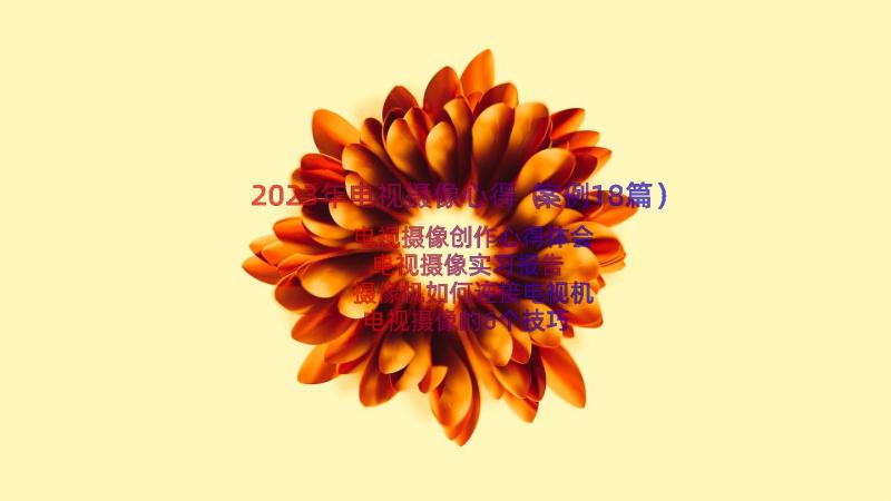 2023年电视摄像心得（案例18篇）