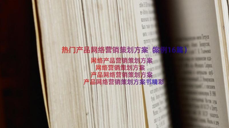 热门产品网络营销策划方案（案例16篇）