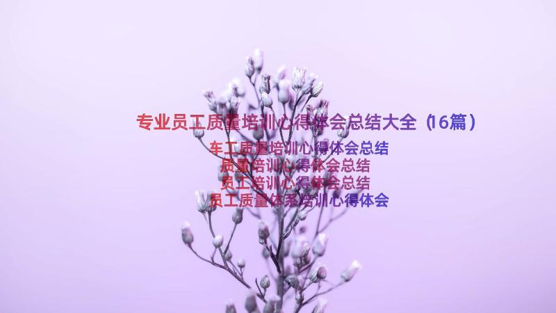 专业员工质量培训心得体会总结大全（16篇）