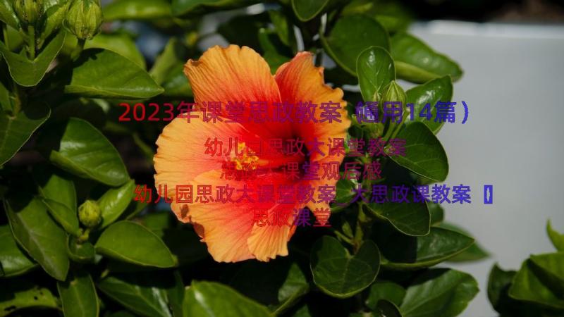 2023年课堂思政教案（通用14篇）